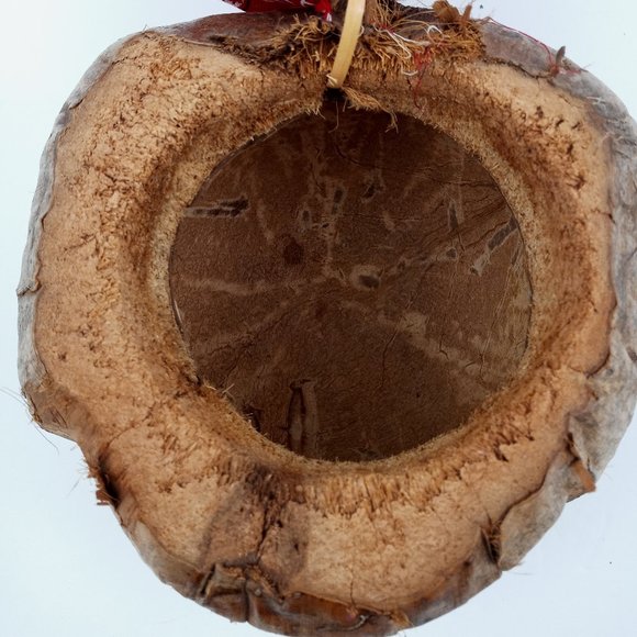 Folk Art Hand Carved Coconut Head One Eyed Pirate with Eye Patch Bank Tiki Bar - Picture 6 of 9